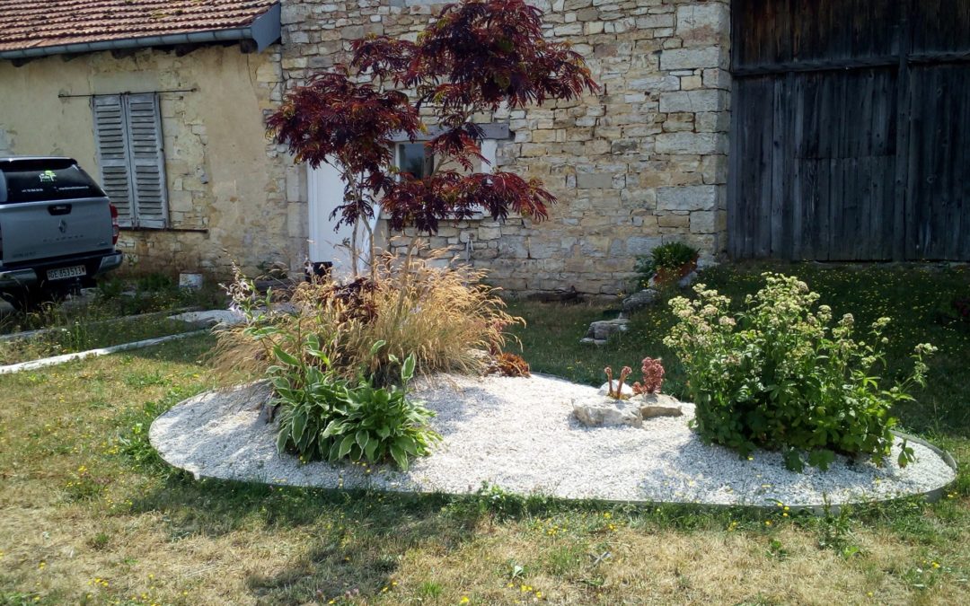 Entretien du jardin – Plantation